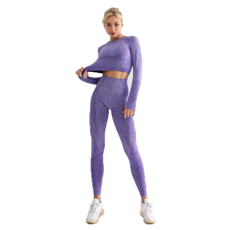 

2pcs Women Seamless Yoga Set Outfit Workout Sportswear Fitness High Waist Yoga Pants Leggings+Long Sleeve Yoga Crop Top Shirts, 9 colors for choose