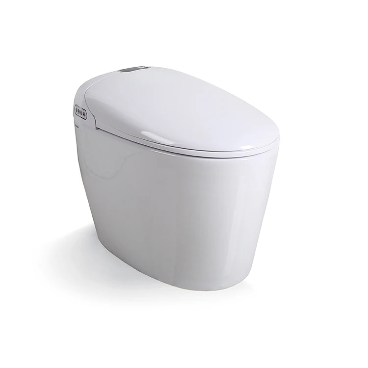 smart toilet intelligent accesories