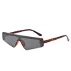 Jheyewear high quality polygon one piece fashion sunglasses 2019 vintage small sunglasses wholesale