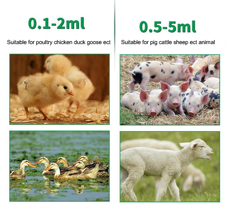 suitable animals.jpg