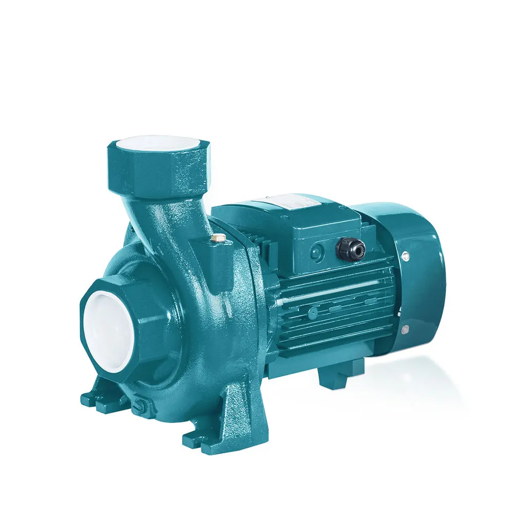 domestic electric water pumps