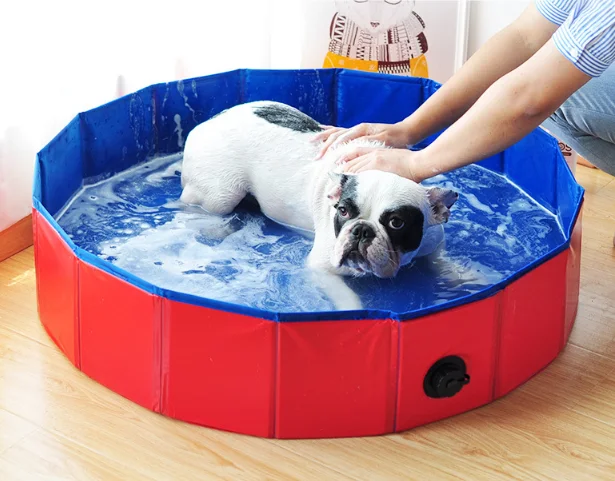 

Portable Foldable Dog Bathtub Grooming Tub Summer Plastic Pet Dog Swimming Pool, Blue, red pet padding pool