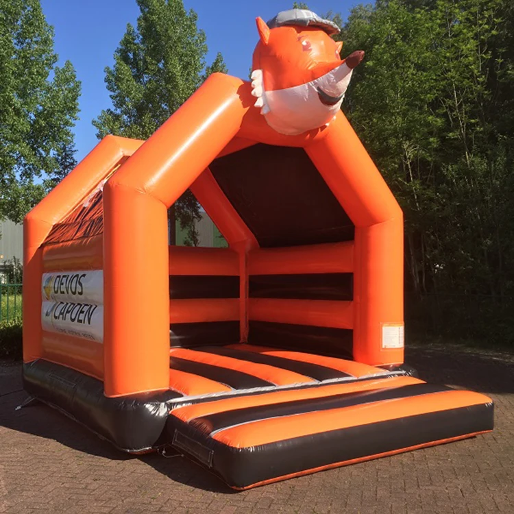factory direct sale inflatable bouncer for kids custom bouncer