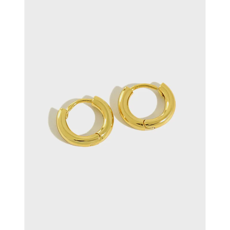 

Danyang S925 Sterling Silver Hoop Earrings Platinum Gold Earrings for Women Girlfriend Jewelry