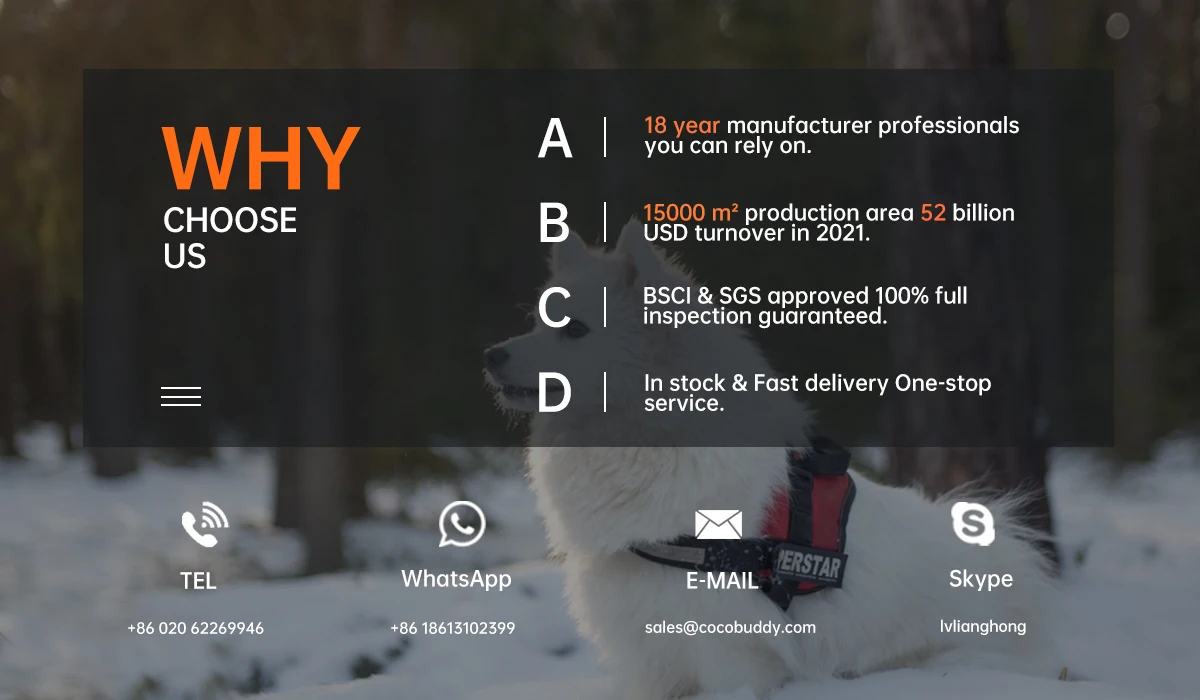 Company Overview Dongguan Coco Buddy Pet Product Co., Ltd.