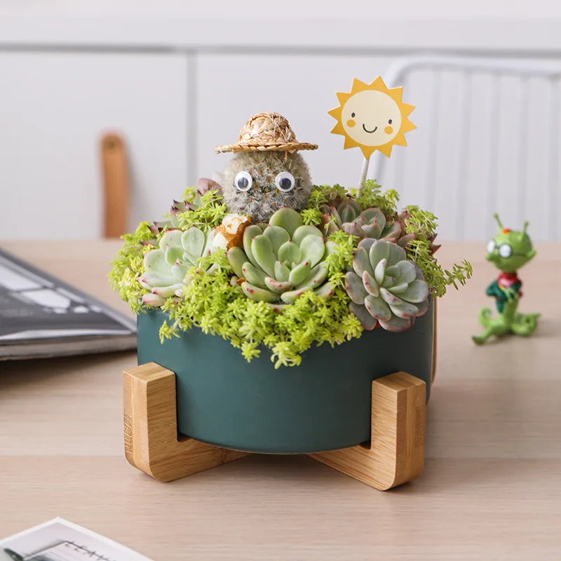 

Indoor outdoor Garden Office Desktop Ceramic Succulents Plant Flower Planter Pot with bamboo Tray, As picture