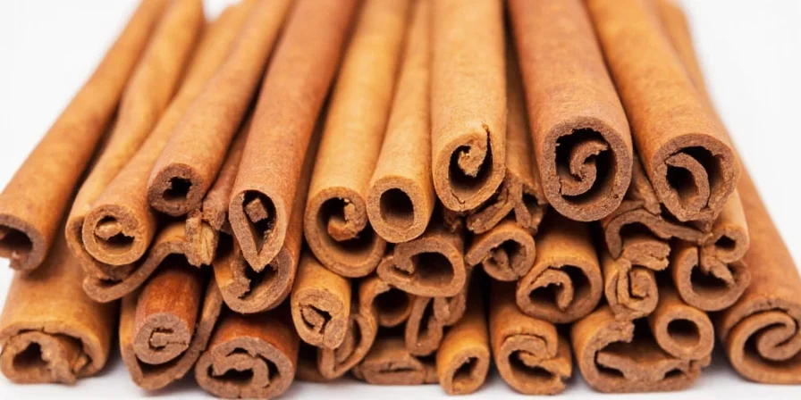 cinnamon chronicles what s the big deal about this spicy stick