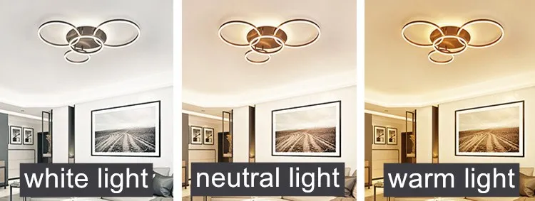 Multi-heads golden led ceiling lighting  decorative simple living room ceiling light modern indoor 85-265V intelligent  lamps