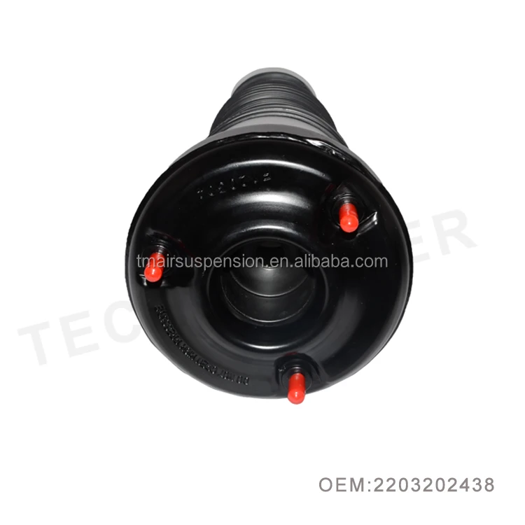 2203202438 air suspension.jpg