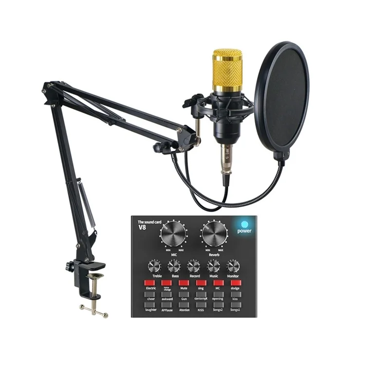 

Factory bulk supply of condenser microphones for dedicated computer recording studios