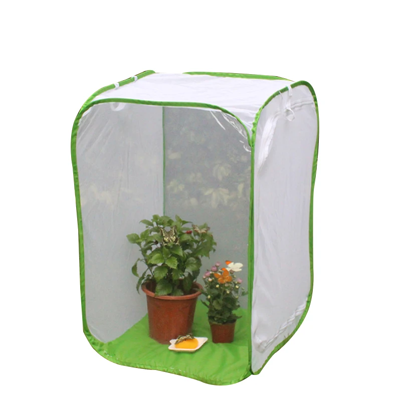 

Foldable Insect And Butterfly Habitat Rearing Cages, White