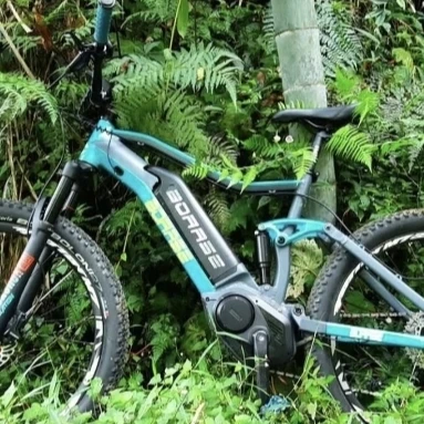 

electric mountain bike