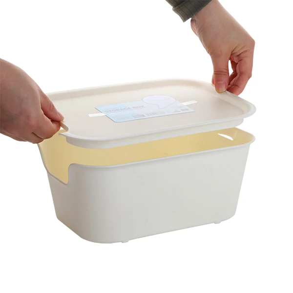 

Large Size Rectangular Pp Plastic Colorful Storage Box/boxes With Lid