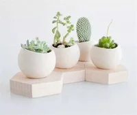 

New factory directflower pots & planters simple modern macaron potted creative ceramic pot