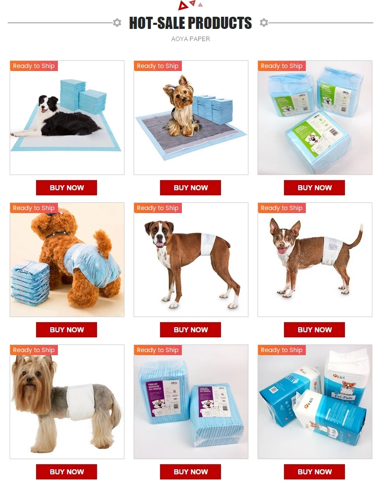 Магазин тематики животных. Pet shop капибара. Pet Supplies. Home Pets with names. K pets