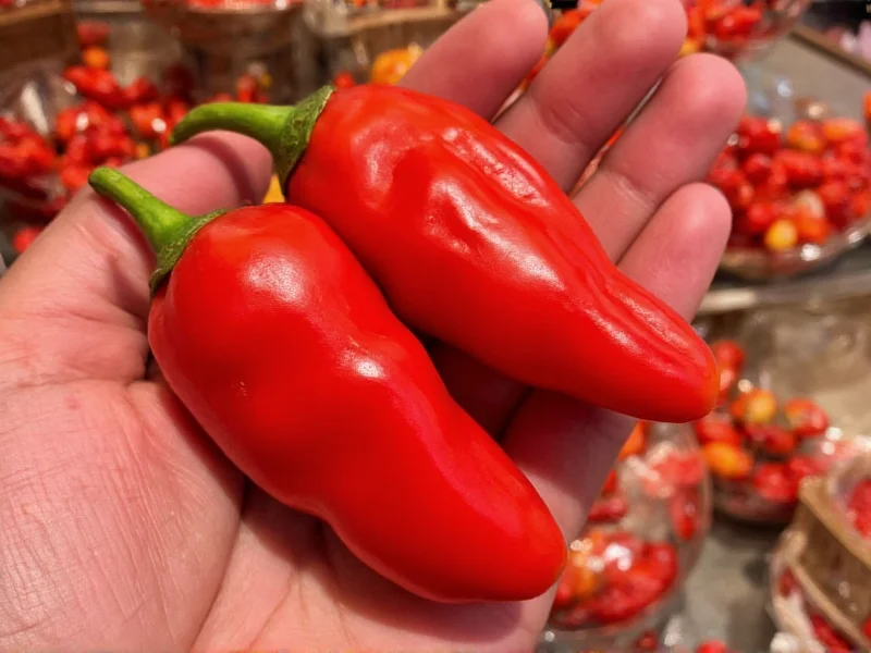 Fresno Chili Pepper Scoville Scale: 2,500-10,000 SHU