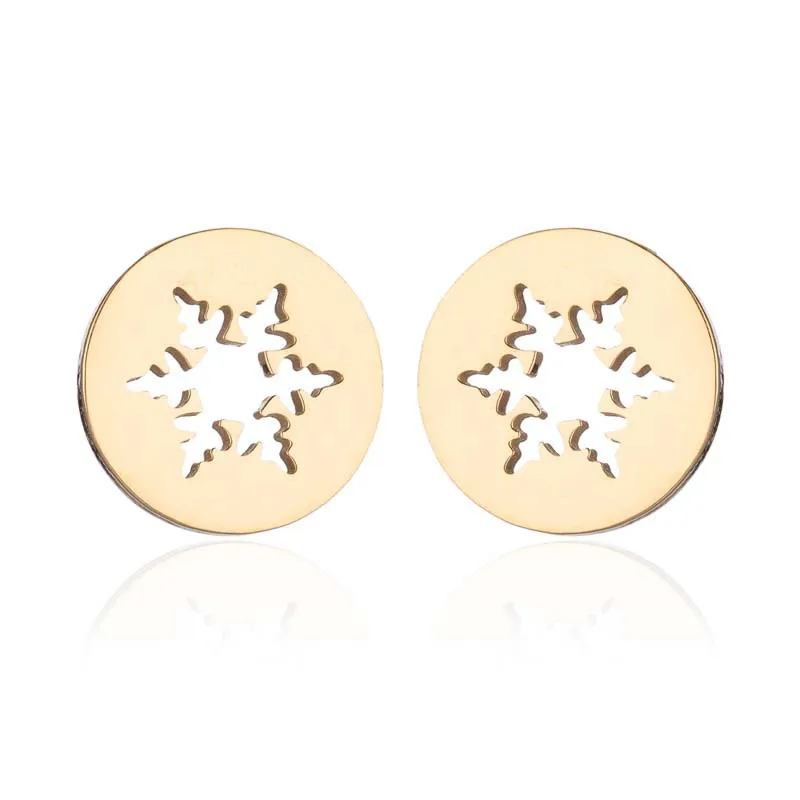 

Stainless Steel Earring Snowflake Earrings Specially Designed Earring Jewelry For Christmas