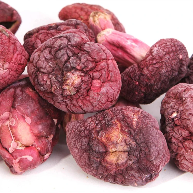 
Low price pollution-free Russula vinosa Lindbl Mushroom 