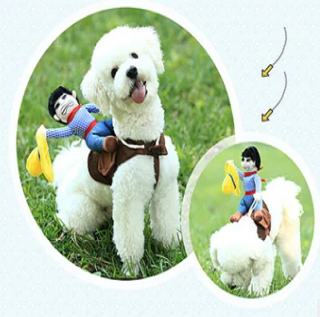 

QY dog clothes Upright pirate outfit dog clothes, Colors