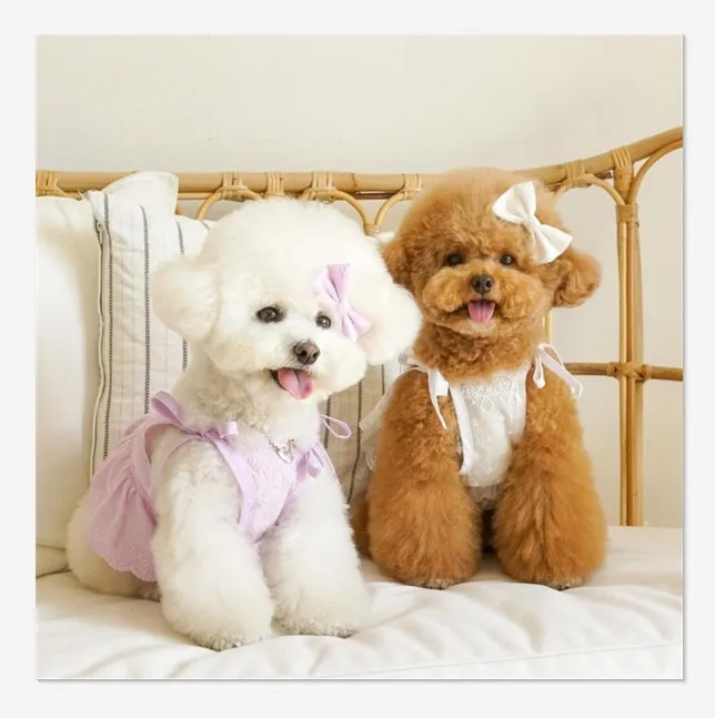 

New lace strappy bikini bow tie short breathable pet dress dog skirt