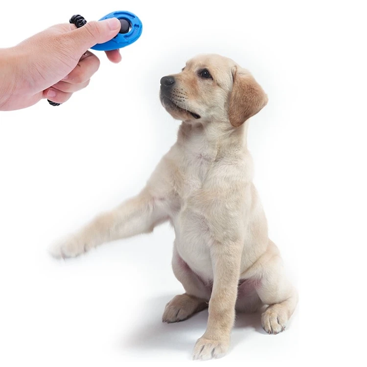 

Hot Sale Customized Logo Dog Training Click Clicker With Wristband, Black/white/red/blue/green/pink/yellow/orange