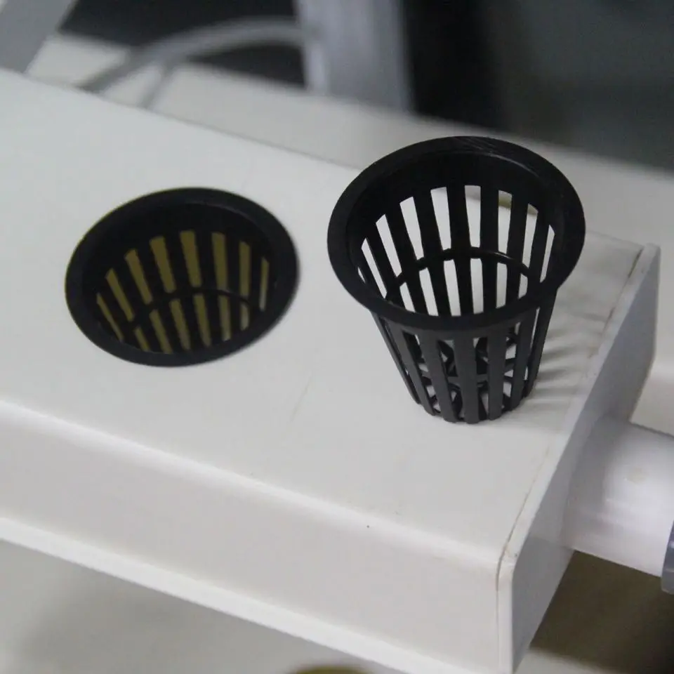 net cups