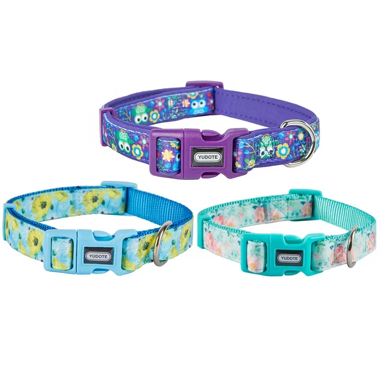 

2021 Factory Price Sublimation Printed Floral Pattern Dog Collar