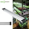 /product-detail/shenzhen-ppfd-smart-vertical-aquaponic-garden-horticulture-micro-greens-led-growth-light-62378249160.html