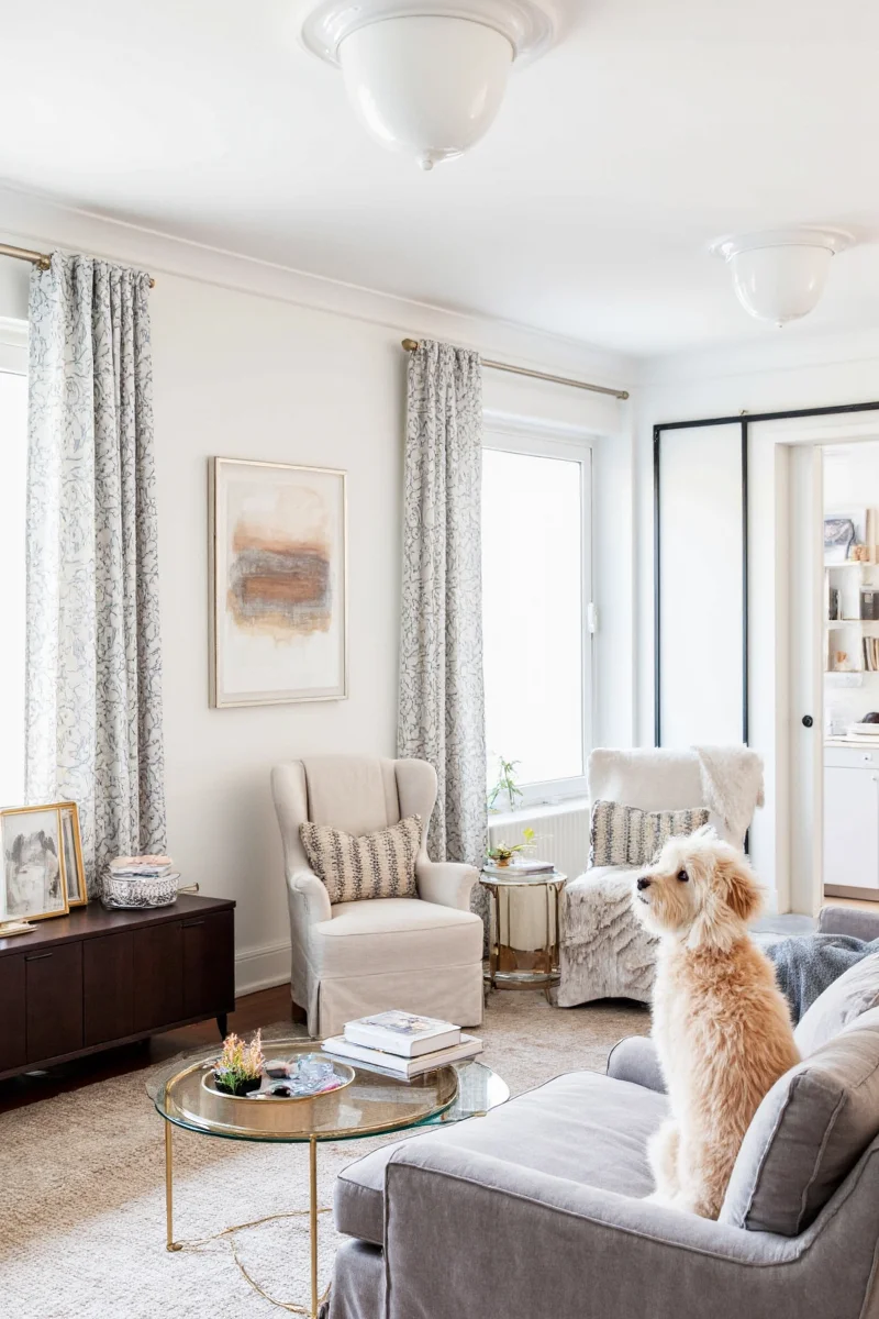 A large washable rug with geometric patterns placed in a living room with two dogs playing nearby.