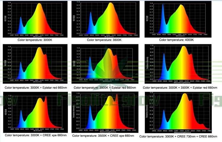 spectrogram (2)