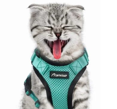 

Hot sale Reflective Cat Vest Escape Proof With Breathable Mesh Walking Cat Harness Leash Set