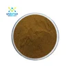 Manufacturer Supply Good Price 100% Pure Organic Wild Mango Seed Powder Extract