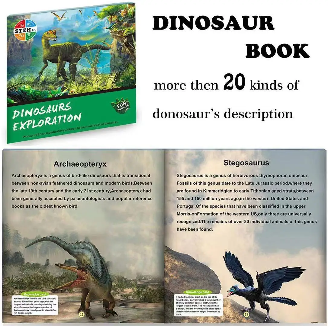 Figura de brinquedo de dinossauro com tapete de jogo, brinquedo de  dinossauro conjunto dino jogo definir dragão com tapete play mat & carro  brinquedos educativos para crianças brinquedos dinossauro para ch