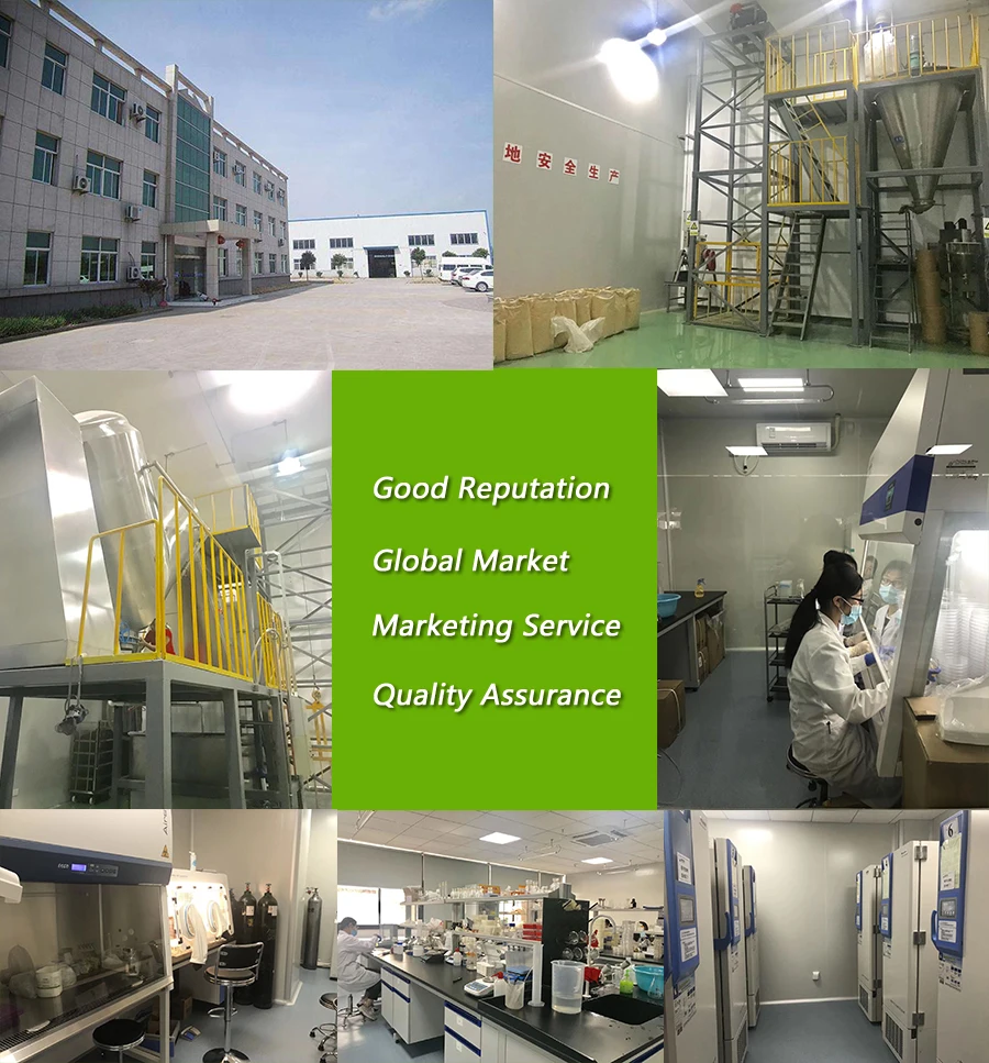 Trichoderma  Biofertilizer/Biopesticide to Protect Crops from Soil Borne Diseases