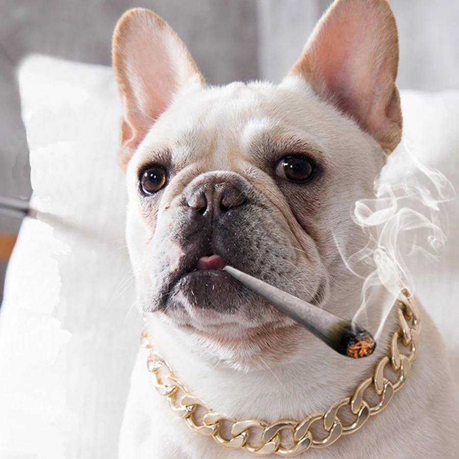 

Funny Pet Collar Dog Metal Large Gold Chain Summer Pet Fashion Accessories Bulldog Collar Small-sized Dog Pet Necklace, 1 colors
