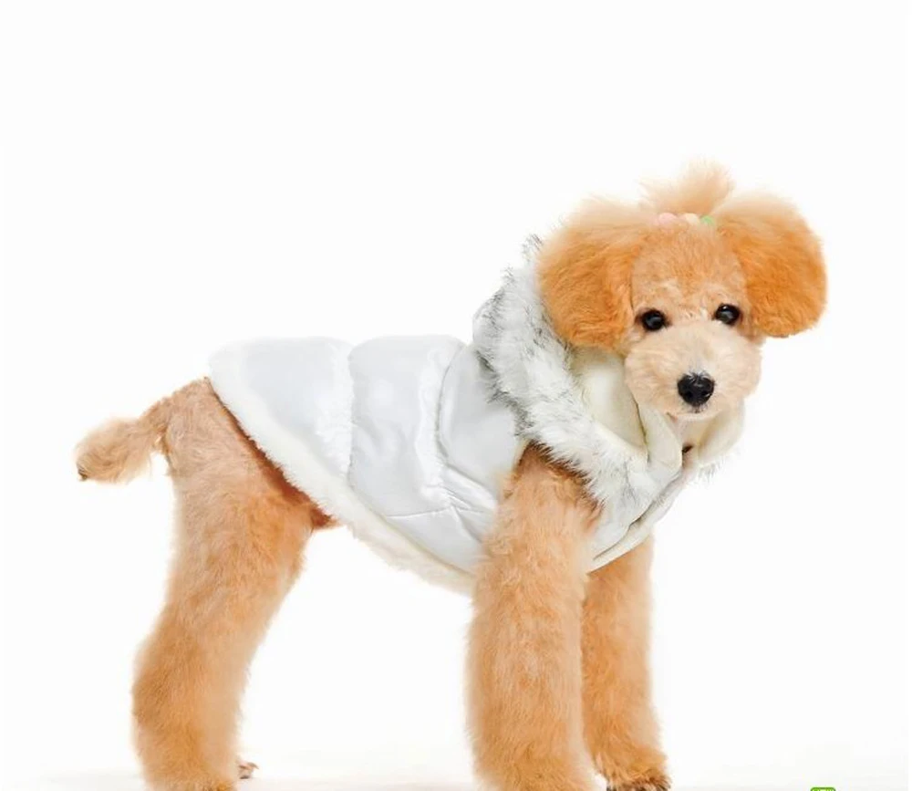 

cheap rain jacket dog