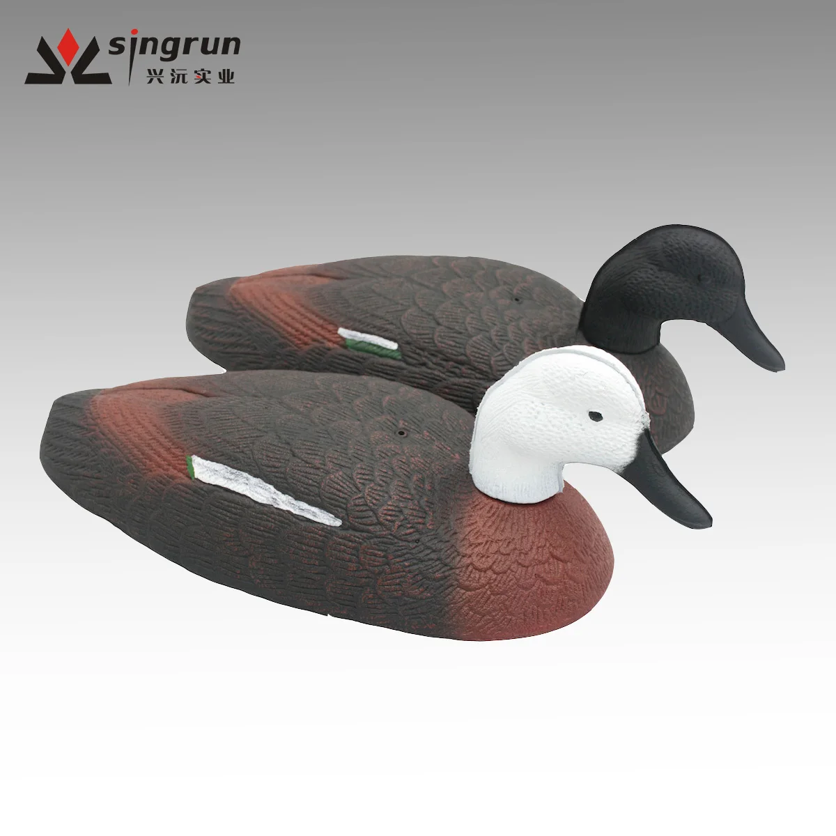 Paradise Shell Duck Decoy Buy Foam Shell Duck Decoy For Hunting,Decoy