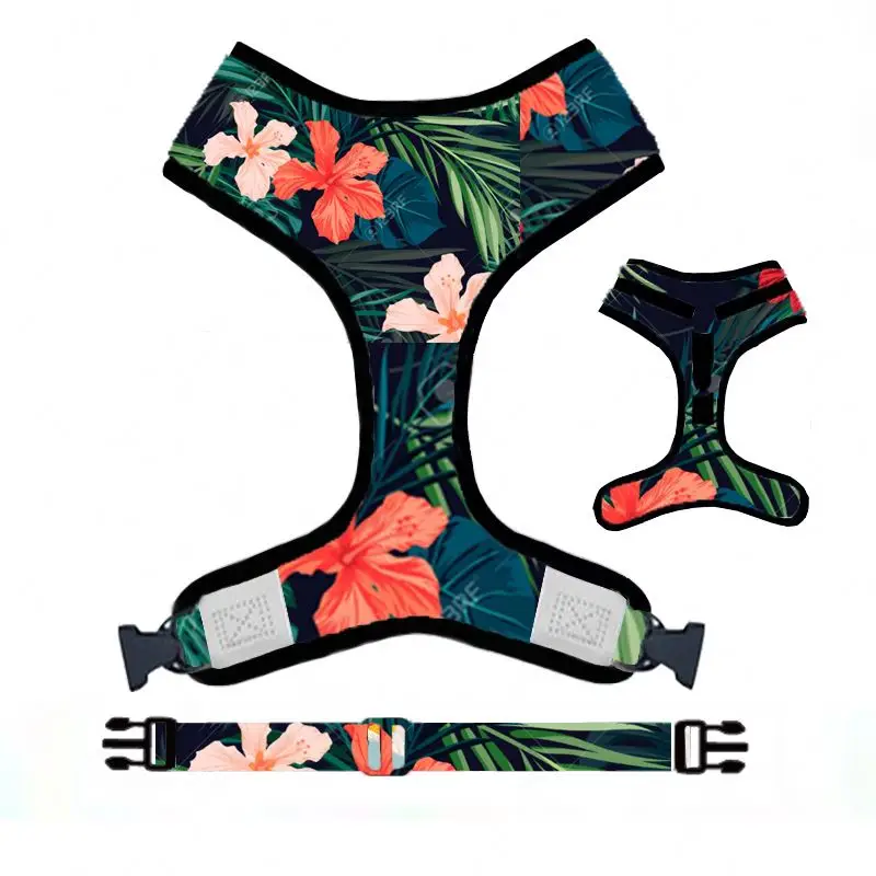 

2021 New Oem Wholesale Personalized Small Designer Mesh Vest Soft Dog Harness And Leash Set, Picture shows