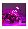 New Type 30w Desk Clip Lamp 360 Degree Flexible Gooseneck LED Grow Light with 4 pcs per package free shipping to US