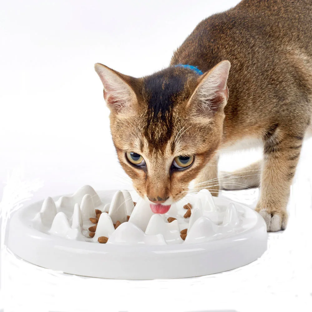 

Silicone Pet Lick mat For Cats Dogs anti choking Slow Eating Feeder Dog Bowl TPR Lick Mat Feeding Food Bowls Mat