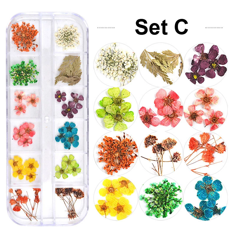 

24pcs/set 3D 12 Colors New Nail Art 3D Dried Flowers Nail Sticker Small Daisy Dried Flower Boxed Dried Nails Decoration, As shown