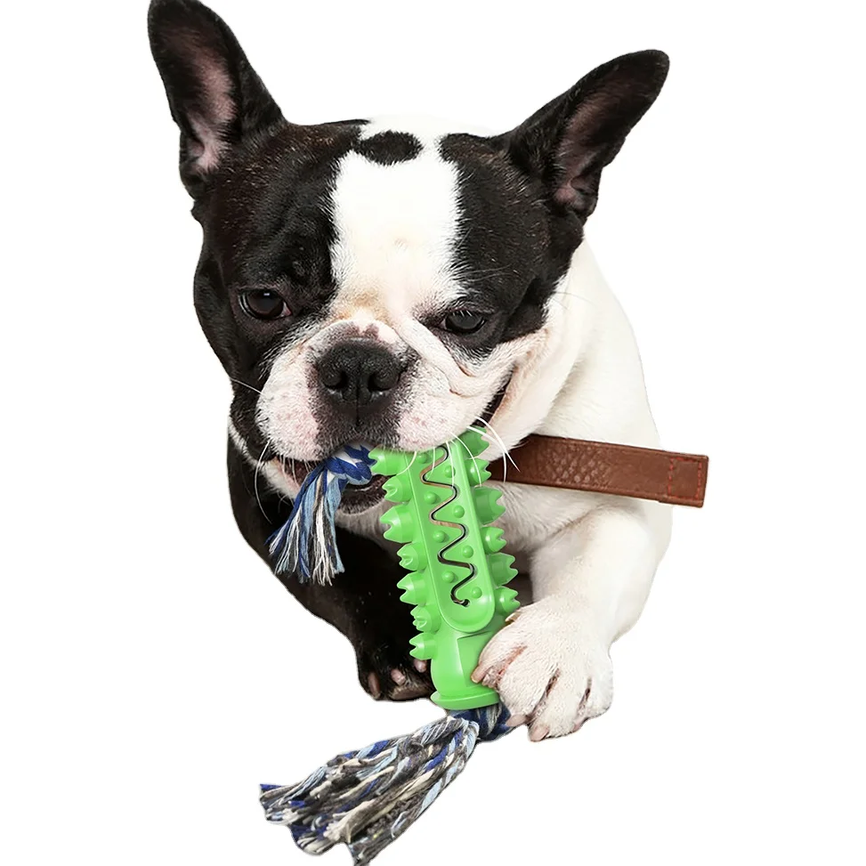 

2021 High Quality Tpr Serrated Molar Rod Organic Pet Toys With Dog Bite Rope