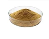 Natural apple polyphenol apple extract powder apple extract