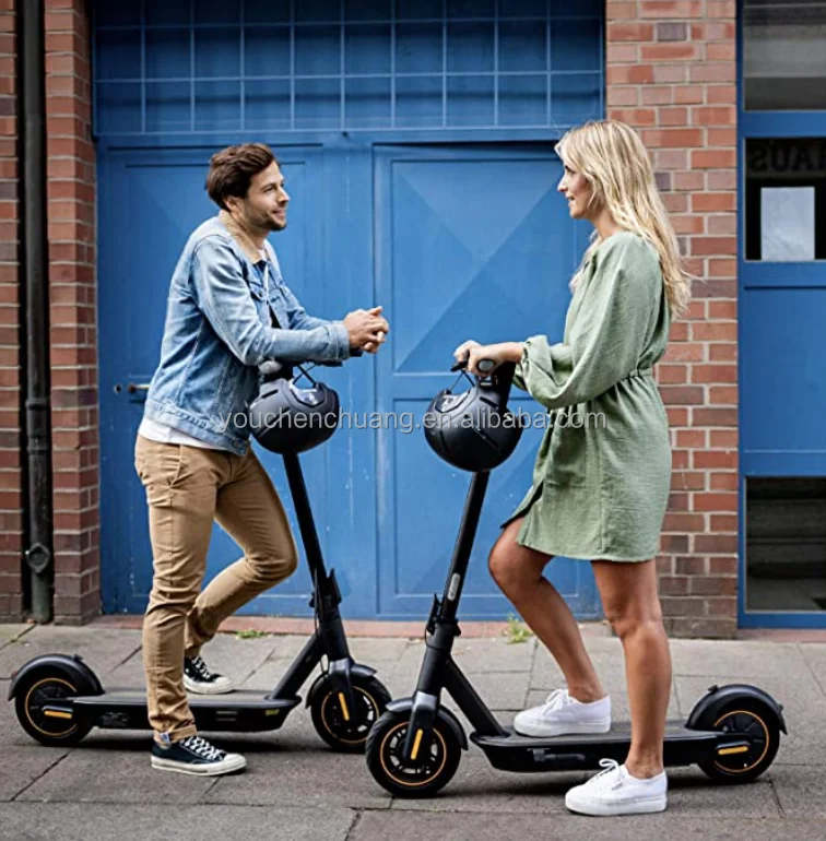 

Free Shipping 350 W 12.5ah 15ah including postage Eu Warehouse Golf scooter MAX elektro scooter