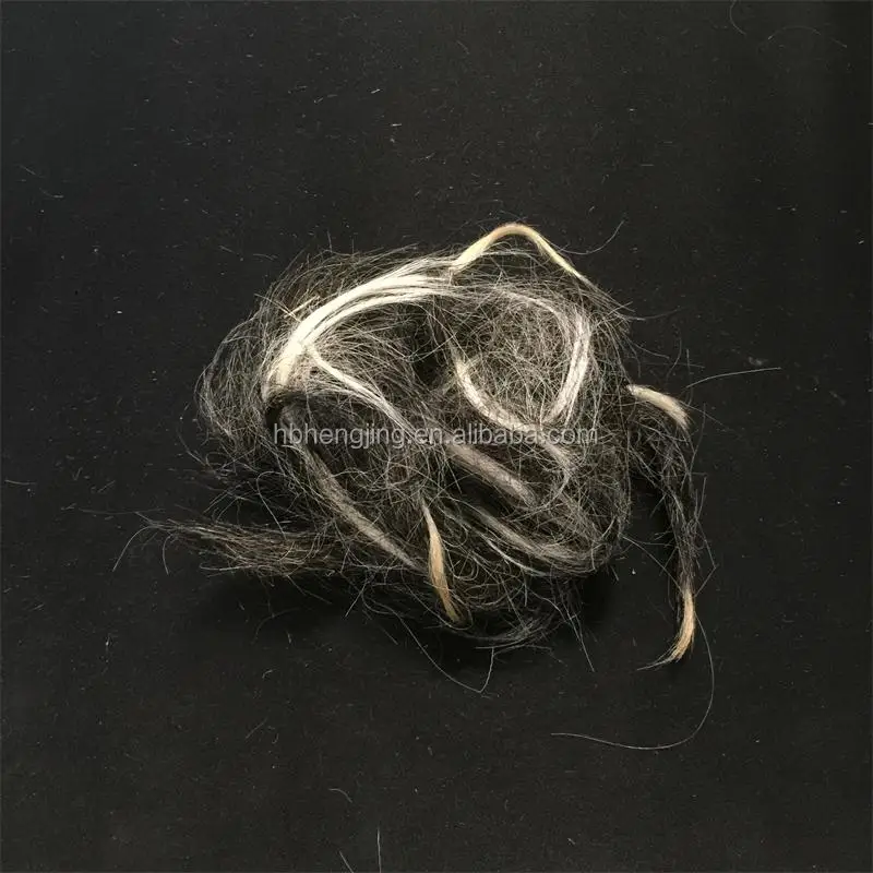 clipped goat hair 1.JPG