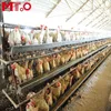 Hot sale factory direct automatic galvanized wire a type layer chicken cage in low price