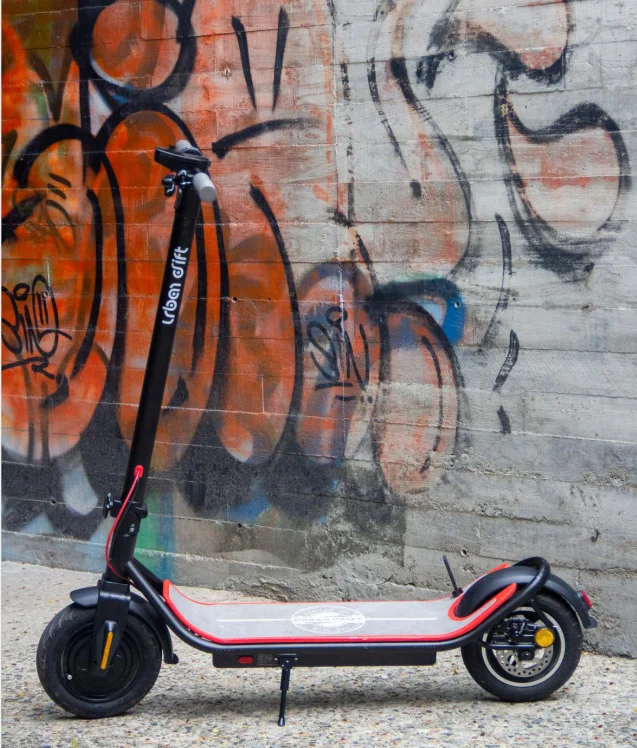 

10-inch adult electric scooter reserved by the EU