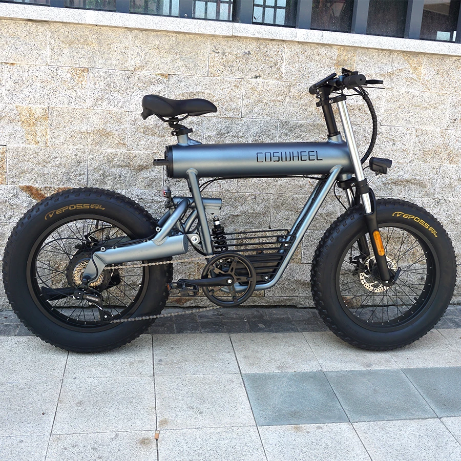 

COSWHEEL Factory Custom 500W 750W 1000W E Bike Mens 20 inch Electric Folding Bike