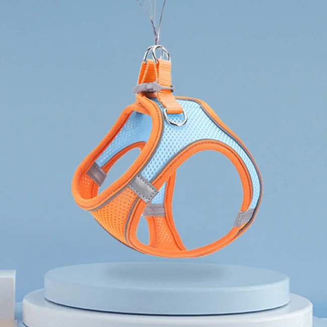 

hot sale fashion design reflective piping luxury pet dog harness leash set