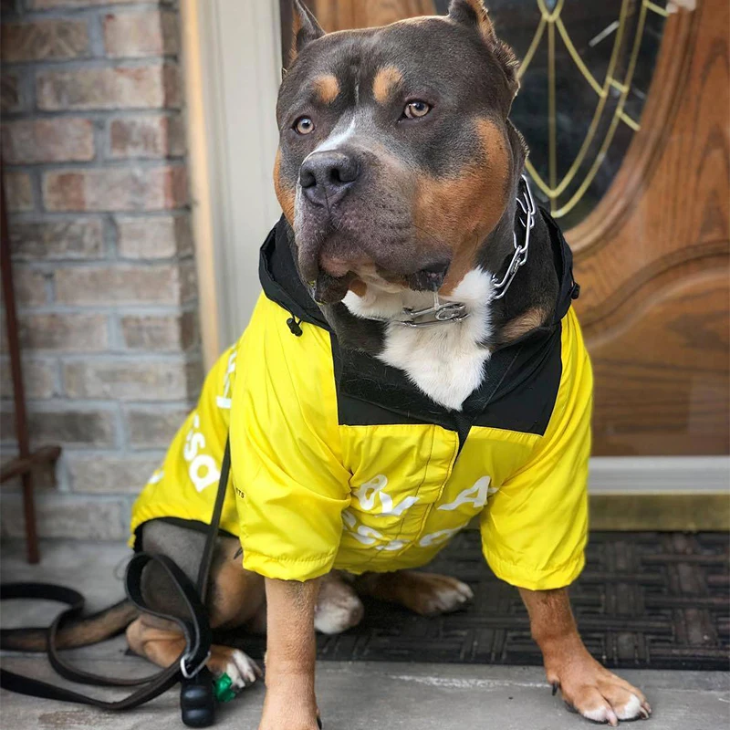 Dog Coat 5xl Puppy Yellow Clothes Pet Windbreaker Accessories Dog Raincoat For Large Dogs – Buy Dog Raincoat For Large Dogs,Dog Coat,Clothes Dog Product on Alibaba.com